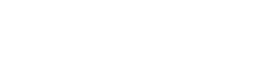 Google Ads logo wit